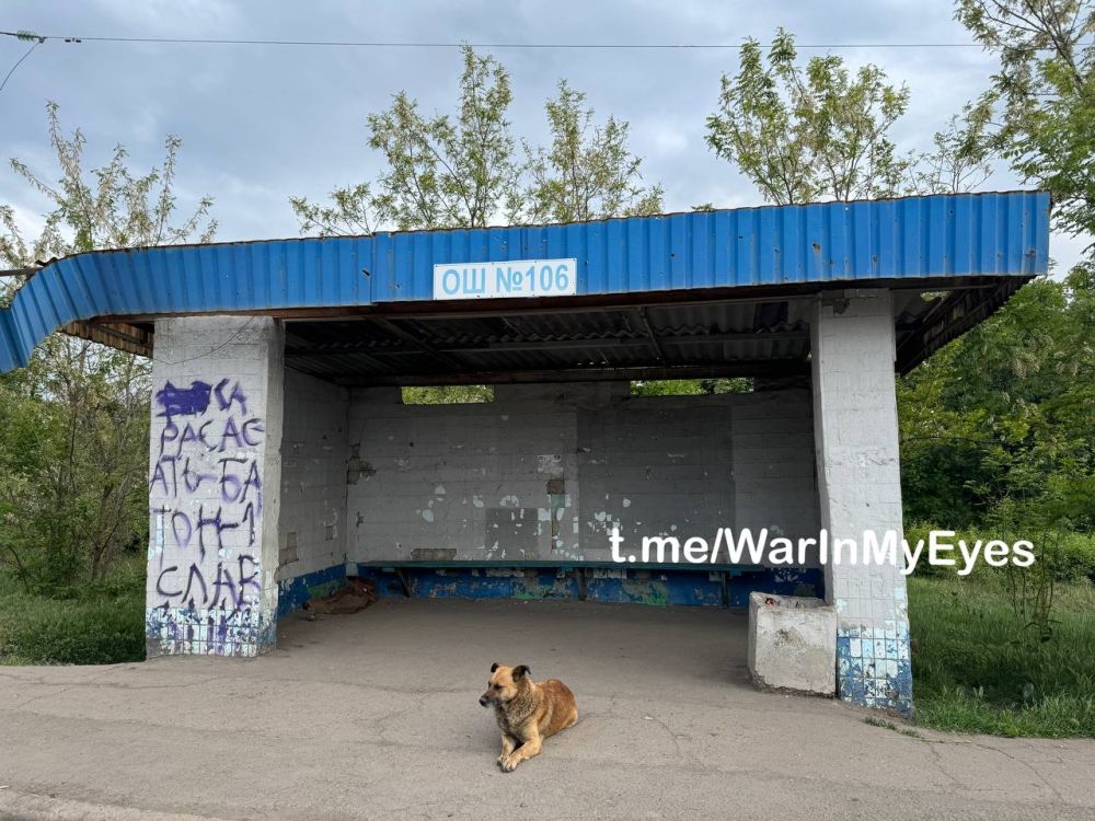 ����� �����: ����������� �������� ��������� ����� � 106 � ���������� ������ �������