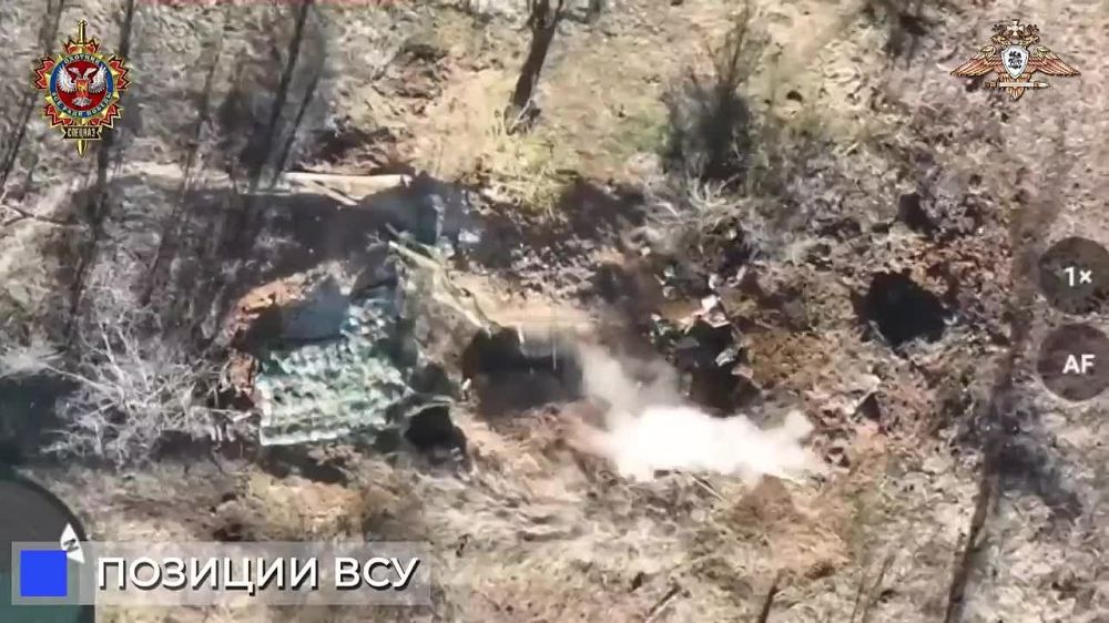 ����� �����: ������� ��� ������ ��������� ������� �� ����� ������� ���������������