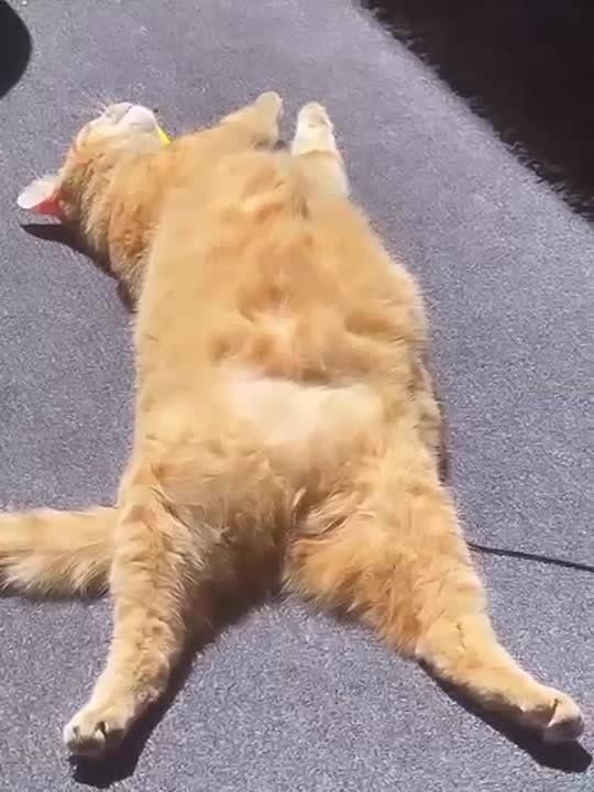 ������ ����!. ���� �������� ��������� ���, ������� ����, ������ ���������. ������� ����� �� ��������� ������ ������ � ������