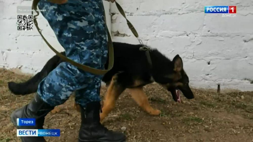 7 ������, ������� ������� � �������� �������� ���������� �� ���������� ��������� ���������� ����������� ������ ���������� ��������� �� ����������� ������� ��� �������� �������� � ����� �������