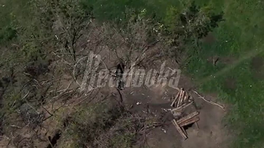 �� ���������� ����������� ������� �� ������� �������� ���� ������������� ����������� ��������� � ������� ��������� ��������� �� ������������ �������� ����� � ����