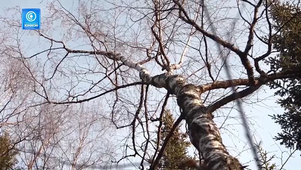 �� ������� �������! 15 �������� ���������� ����� �������� �� �������� ���������� ������!