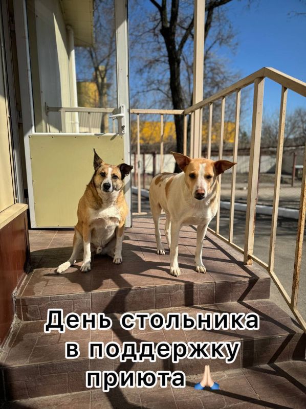 ������, ��� �����. � �� ��������� ���������� � ���