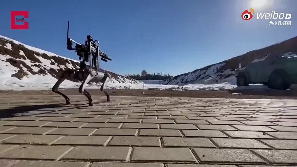 ��������� ����� ���� �������� ����� ���������������� �����