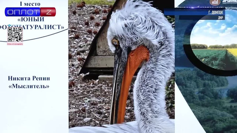 ���������-������������-������