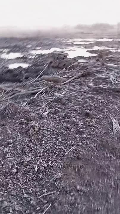 ����� �����: �������� "�����������" ������������ ��������� ������������ �� ����-�������� �����������