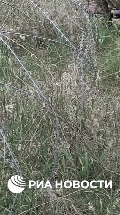 ���������� �������� ����� �������� ������ ���� ���� �� ������� � ��������