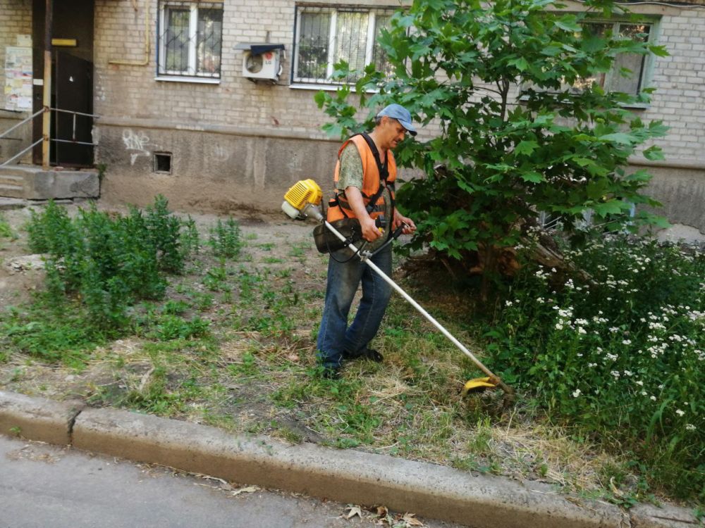 ������� ������: ������ ��� ��� "����������� �������� ������������ ������ �.�������" ������������ ���������� ����� �� ������ ����� �� ���������� ���������������� ������ �����