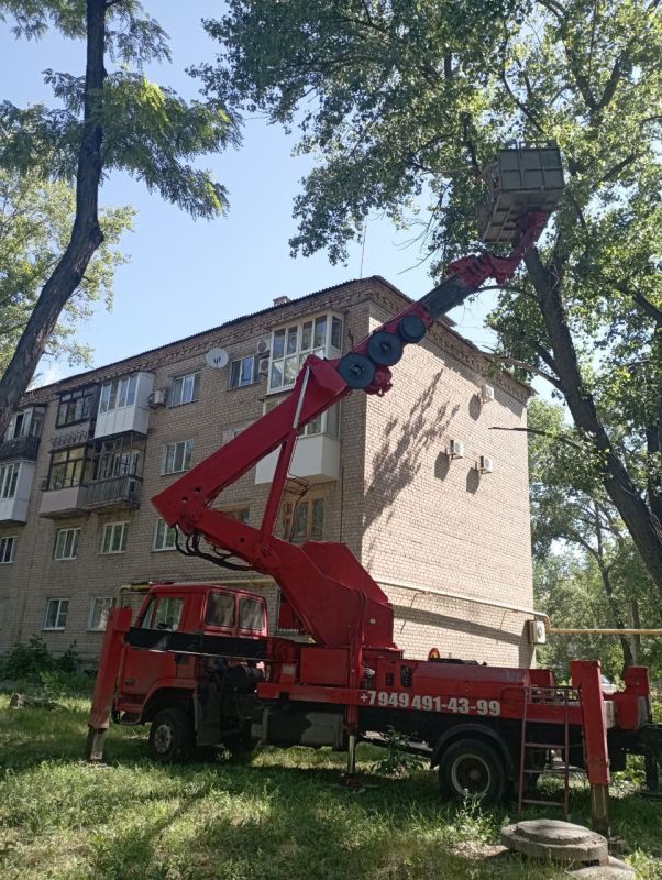 ������� ������: ������� ������ ��� ��� "����������� �������� ������������ ������ �. ������" ����������� ������ �� ������������ �������� �� ���������� ���������� ���� � 31 �� ����� 50-� ����������� �������