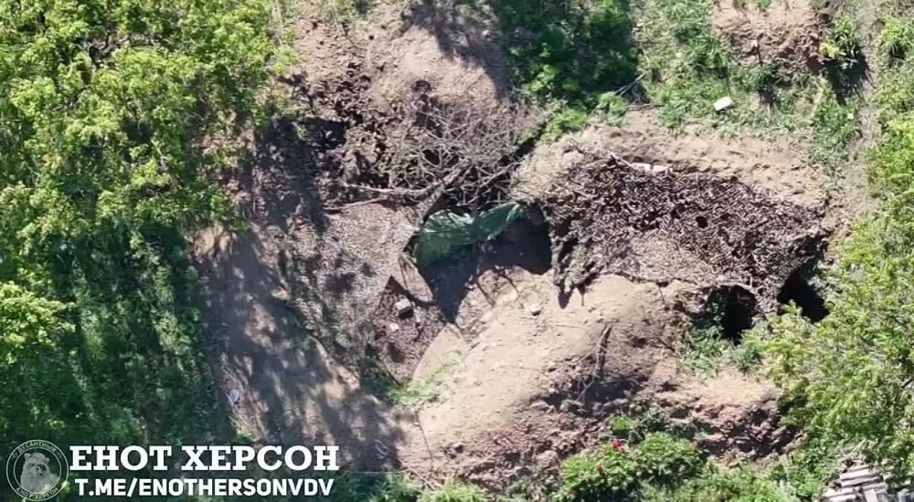 ����� �����: ����������� 120 �� �������� �� ����-�������� �����������