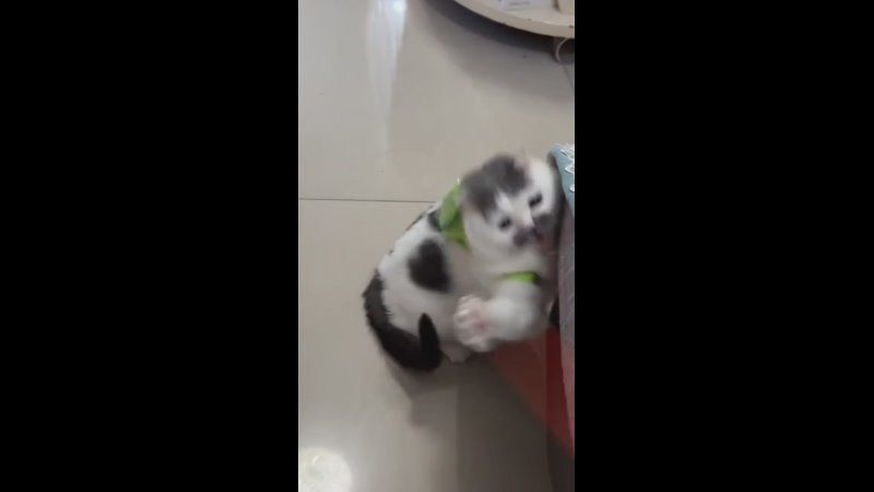 ������ ����!. ���� �������� ��������� ���, ������� ����, ������ ���������. ������� ����� �� ��������� ������ ������ � ������