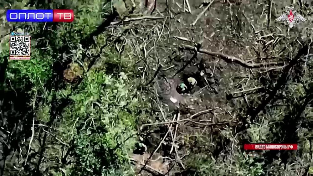 ������ �� �������� ������� � ����� ���� ���