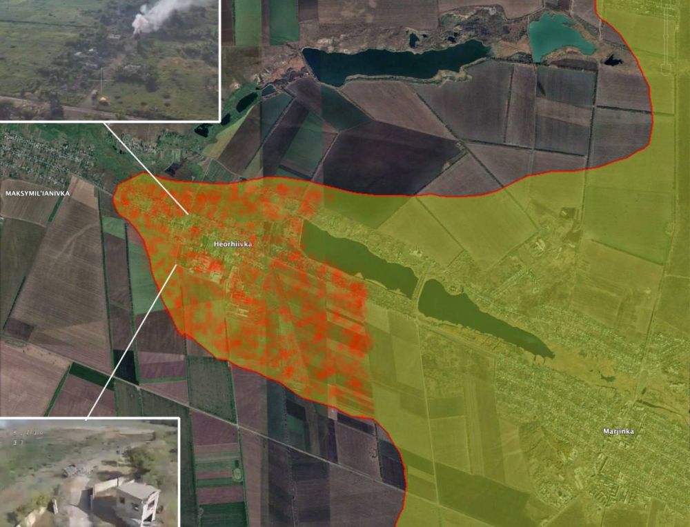 ���� ��������: �� �� ���������� ���� ���������� - �������� ���� и��� �� BILD