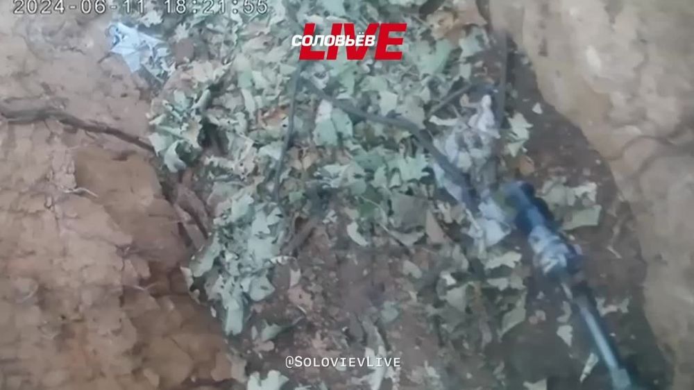 ��������� | �����ܨ�LIVE