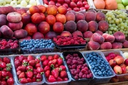 В ДНР будут выращивать голубику в промышленных масштабах