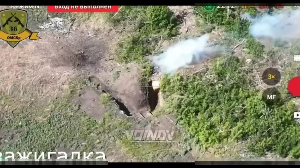 ����� �����: ������������� �������� ��� � ���������� ���������� ��������� ������� 36 ����������� ������� ����������� "������"