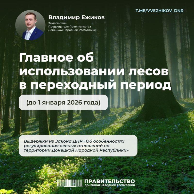 Владимир Ежиков: ДНР стала первым из новых субъектов, принявших профильный закон относительно использования лесов в переходный период