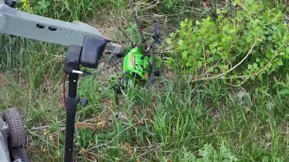 ���� ������� ��� �����������: