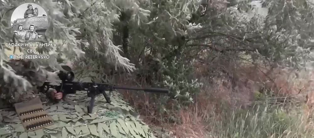 ��� ������� �� �������� ��� ���� ���������� ������� FPV-����!