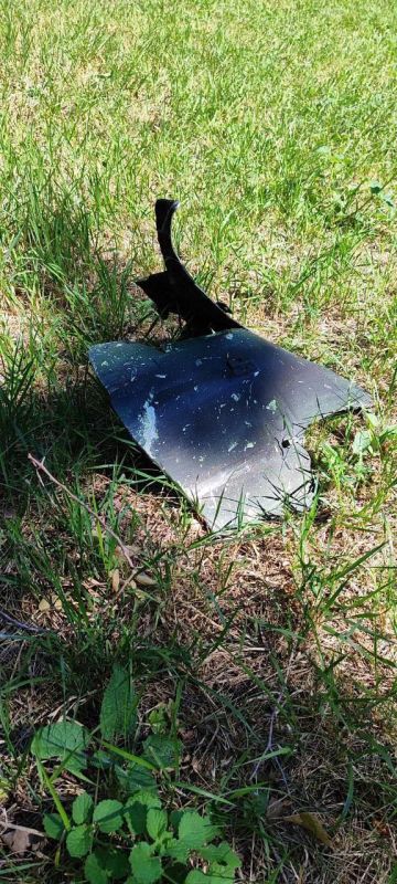 Юрий Мартынов: Проигрывая на поле боя, ВСУ обстреливают мирные районы Донецка