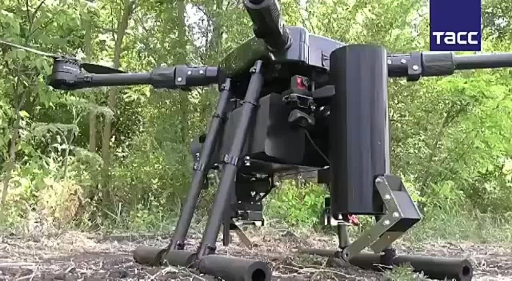 ��������� ���� ����������� ����� ������� ���������� ������� ������������ ������� - ������� ���������� ������ �����-���, �� ����-�������� �����������