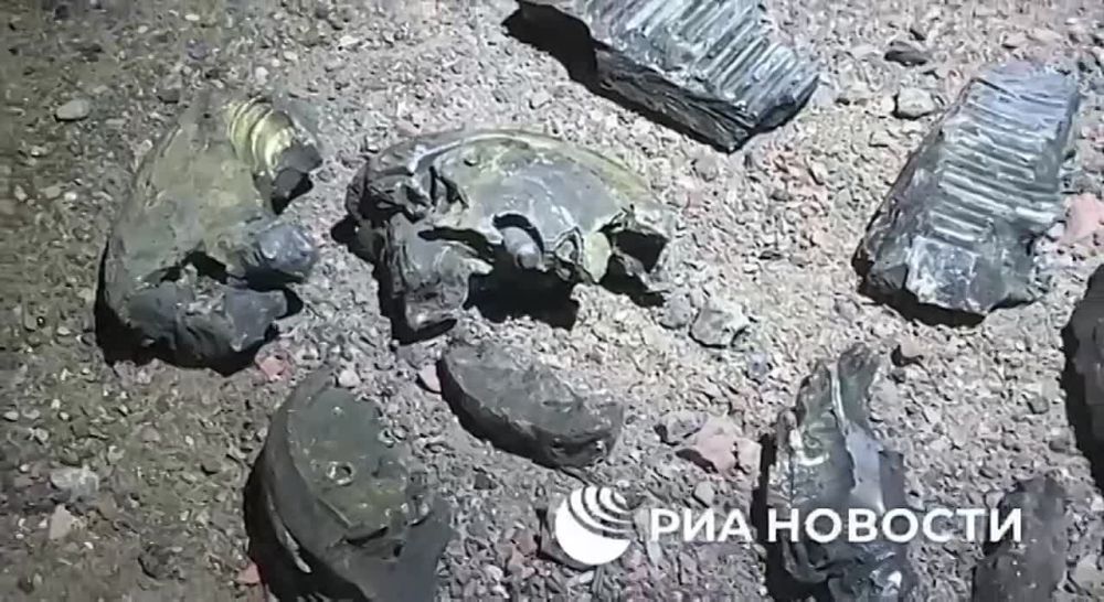 �� ����� ����� � �������, ��� ������� ������� � ������ 4 ��������, ������� ������� �� ������� � ������������ ��� ���������� ���� �����������