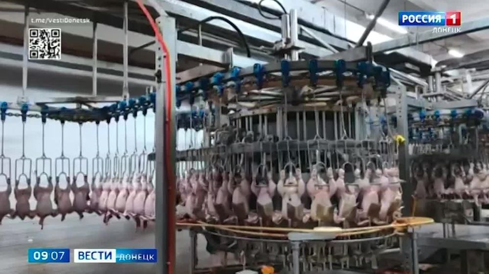 ����������� ������������ �������� ���� �� ���������� � �������� �������� ���������� ������������