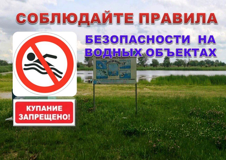 ������� ������: ������ ������������ ���������������� ������ ������������� ���������� ������ ������ ����������� ���� ���������, ���������� � ������ ��������, ��������� �������� ������� ���������