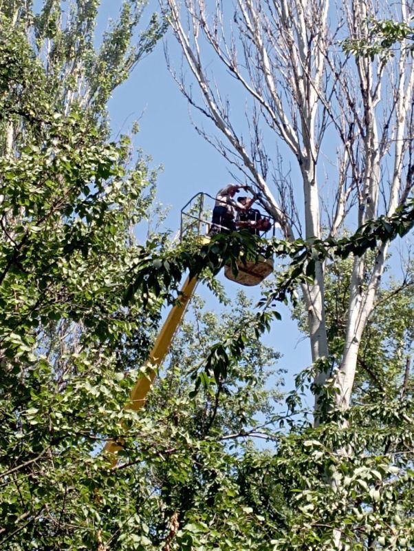 ������� ������: ������� ������ ��� ��� "����������� �������� ������������ ������ �.�������" ��������� ������������ ������...