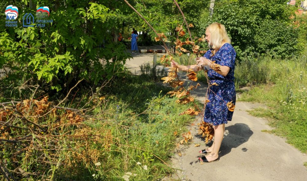 Иван Адамец: В Куйбышевском районе сотрудники Управы Куйбышевского внутригородского района Администрации городского округа...