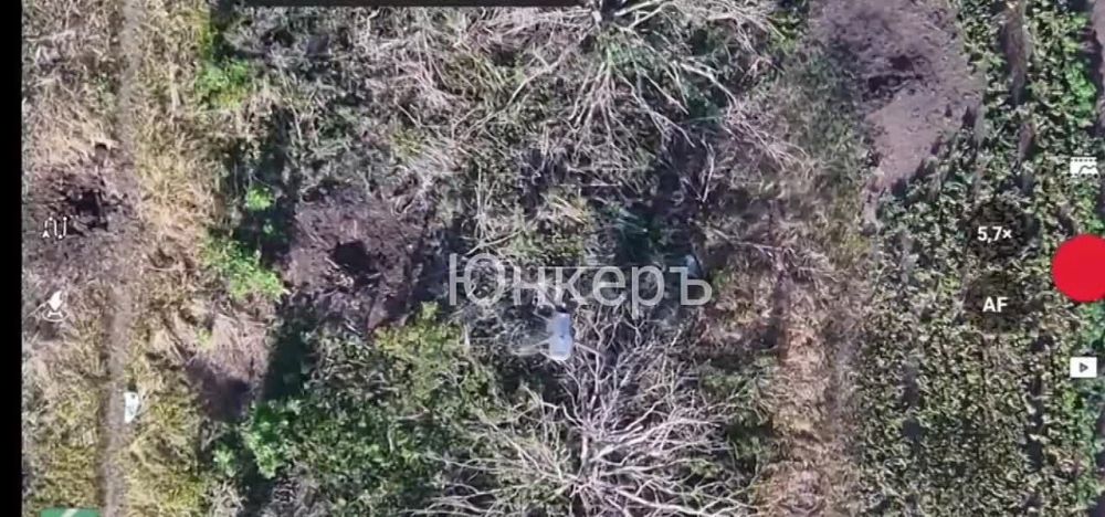 Борис Рожин: Вести с фронта. Донецкое направление, на связи Путник - доброволец из Мелитополя, мой товарищ