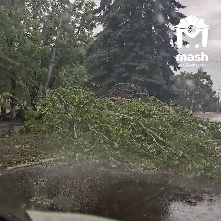 � ��� ����� �����������, � �������� ������ �������� �� ������