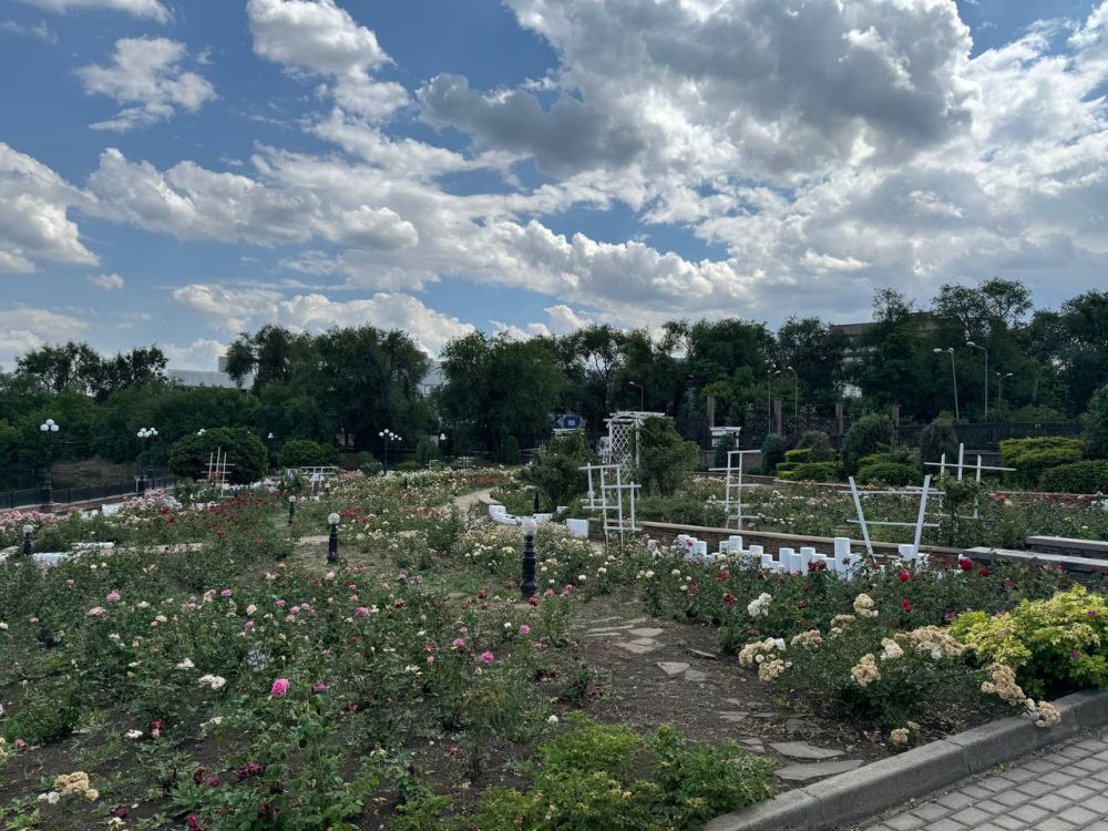 Александр Малькевич: Покажу вам Центральный парк культуры и отдыха имени А.С