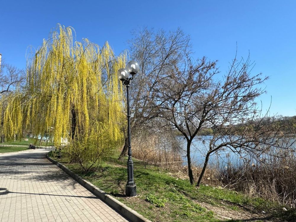 Александр Малькевич: Знаете ли вы, какое тёплое и приятное в этом году лето в Донецке?