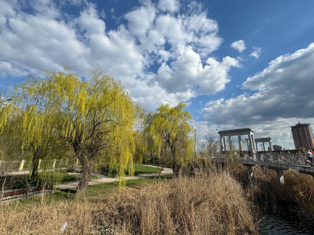 Александр Малькевич: Ну что, успели насладиться красотами летнего Донецка?