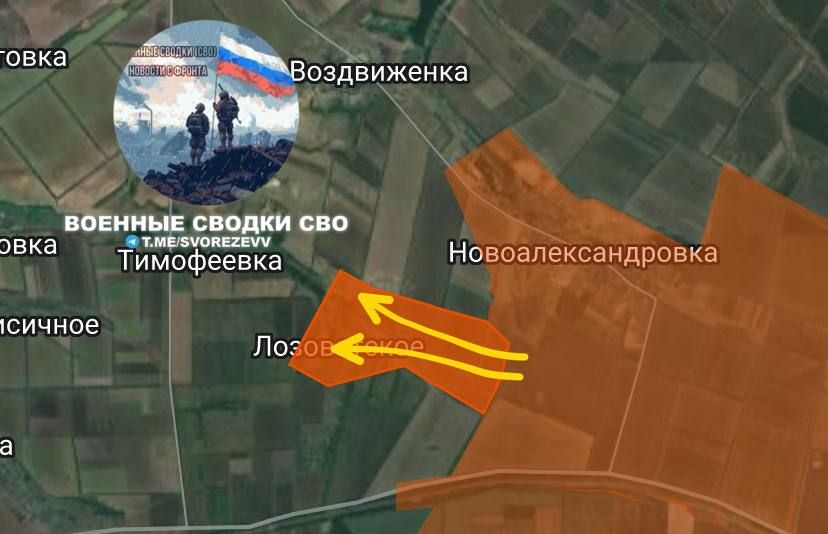 ���������� �����������:
