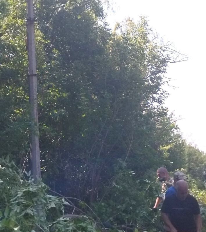 �������, 18.07.2024 ����, ������ ����������� �������-������������ ����������� ������������� ������ �. ������� ���� ��������� ��������� ������: