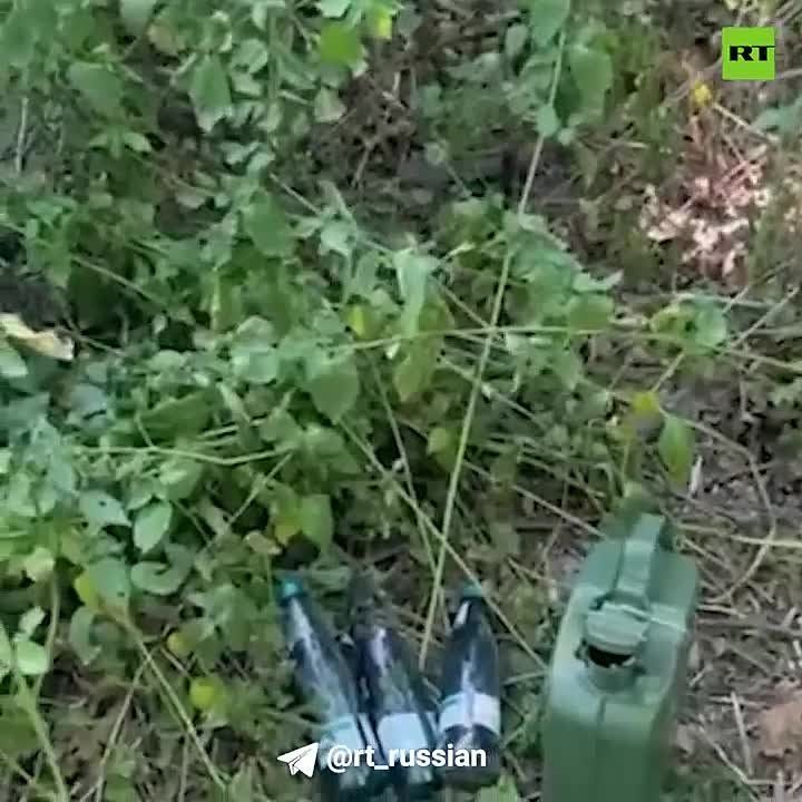��� ��������� ��������� ������, ������� ����������� �� ������ ������� ������ ����������� ���� � �������!