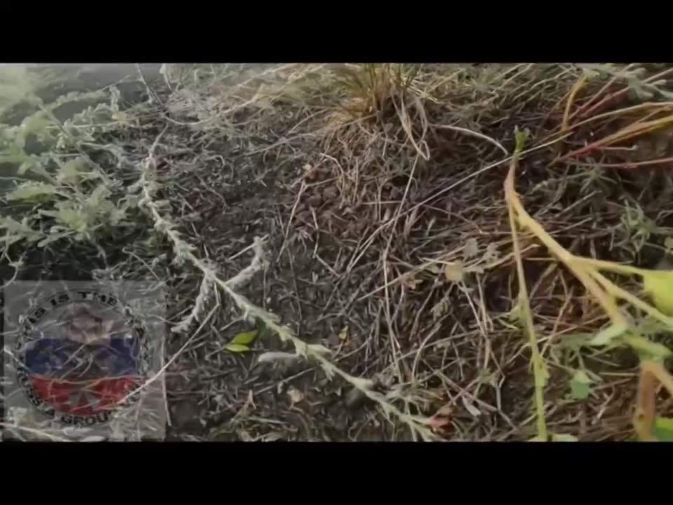 ����� ������.. ����� 14-�� ������� ��� � �������� � �����������
