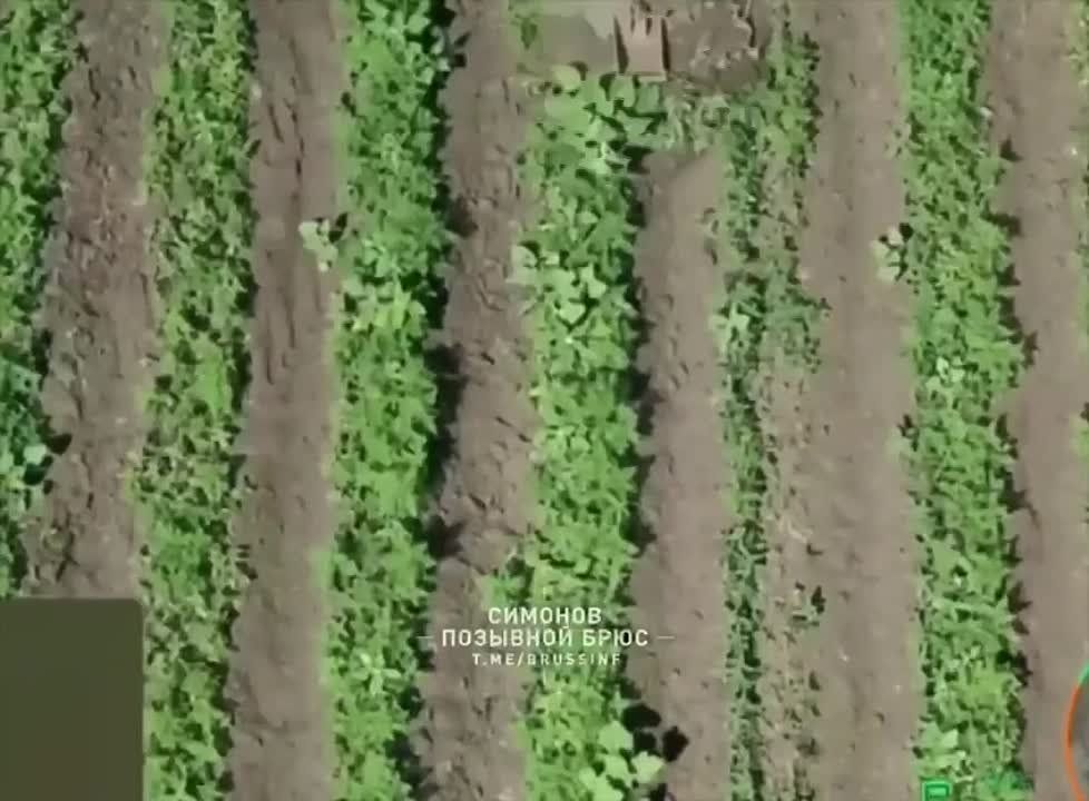 ������ ����� ������ ������ ���-2 � ����������� ���������� ������ �� ����� �� ����������� ����������� ������� ��������