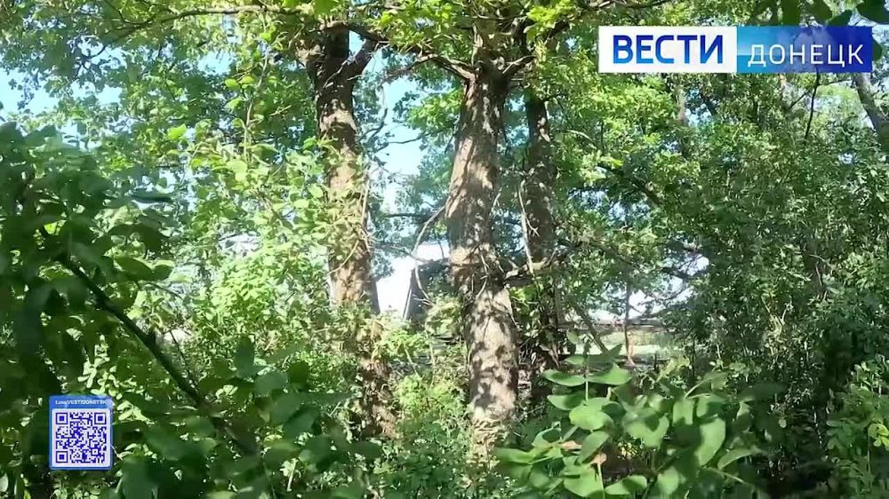 ������� ���-3 ��������������� ������������� 1-� ����������� �������� ����� ����������� ����� ������ ���������� ��������������� �������� � ����� ���� ���������� ��������