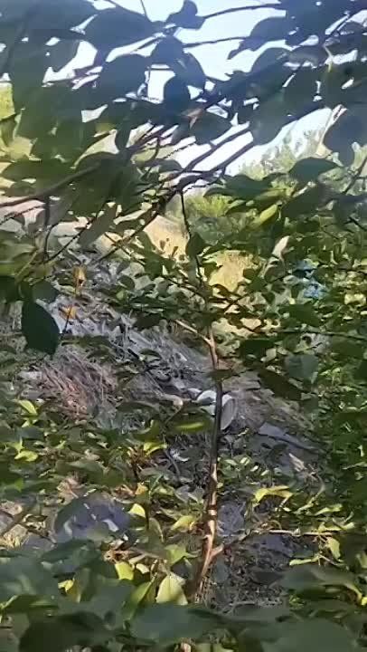 Виктория Мельникова: Просто будни Петровского района Донецка