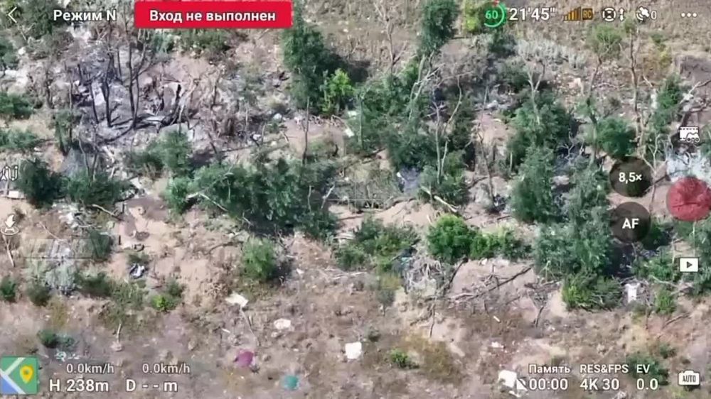 Борис Рожин: Локальный апокалипсис в отдельно взятом опорном пункте на Южно-Донецком направлении