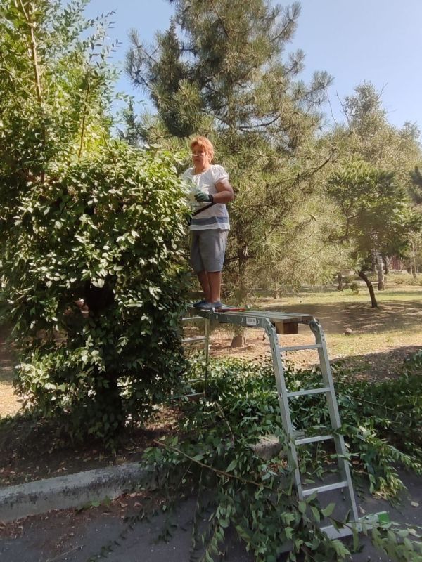 Иван Адамец: Один из трудовых дней сотрудников МУП АГД «Зеленстрой», которые с помощью природы облагораживают Куйбышевский район