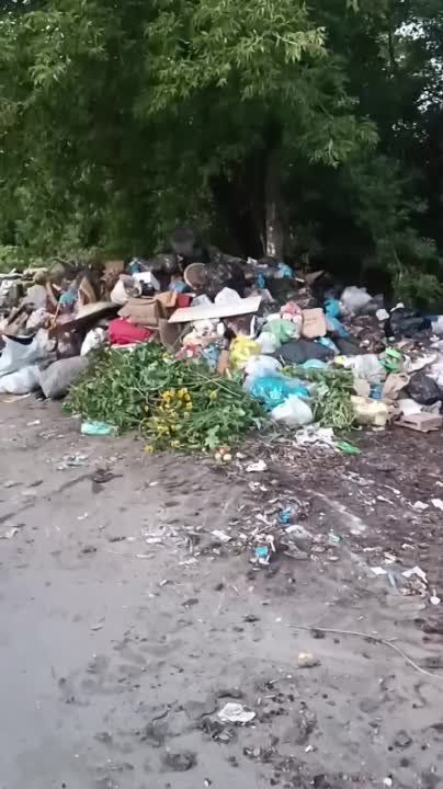 �� �������. ������������, ���� ������