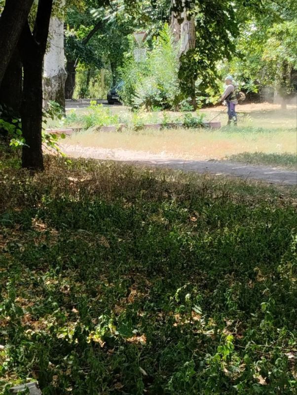 Василий Ткачук: Сегодня МУП АГД "ЗЕЛЕНСТРОЙ КАЛИНИНСКОГО РАЙОНА" приступило к покосу травы в парке "Стройдеталь" в Калининском внутригородском районе города Донецка