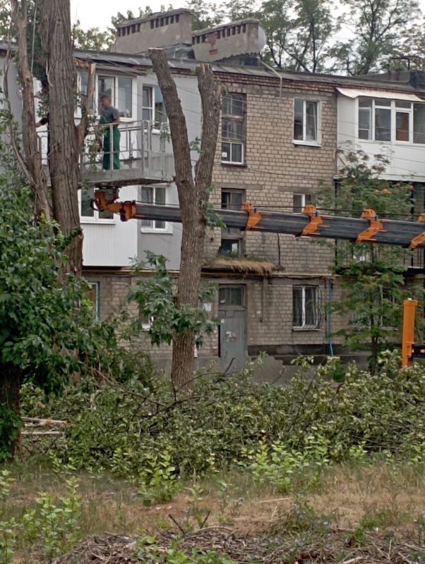 Василий Ткачук: Силами МУП АГД "Управляющая компания Калининского района г.Донецка" выполнены работы по кронированию и санитарной обрезке ветвей зелёных насаждений на территории многоквартирного жилого фонда по адресу: