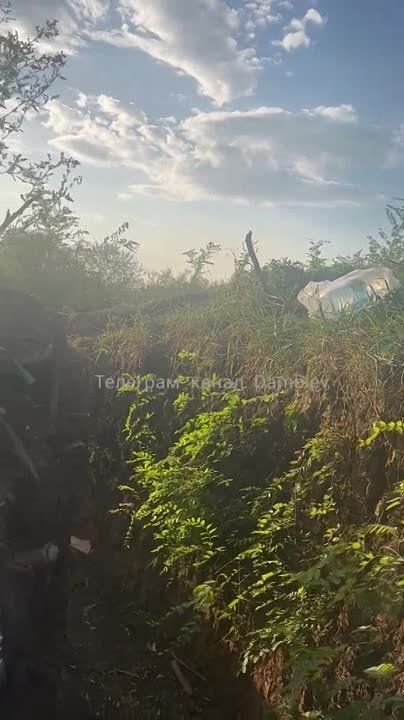 Борис Рожин: ВСУшник снимает на телефон прилеты русских авиабомб ФАБ-500 с универсальными модулями планирования и коррекции (УМПК) по позициям своих "побратимов" в соседней лесопосадке на Южно-Донецком направлении