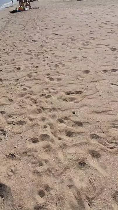� ��������� ����� ������� �� ���� �� ������