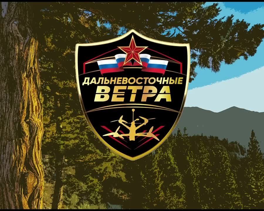 ��������� �������: ������ �� ������ ��� � ��� ����������� ����������� ����������� FPV-�������